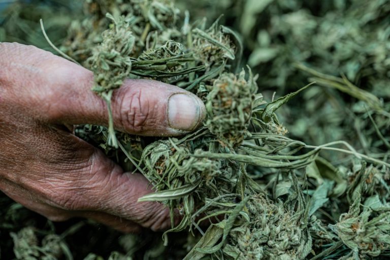 Leuven Cannabis Boutique