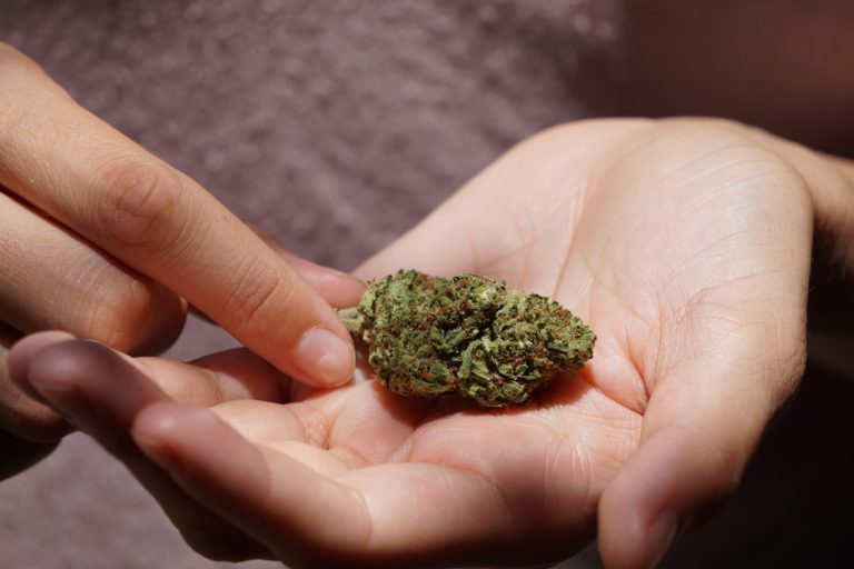 High‑Quality THC‑Rich Marijuana in Murcia