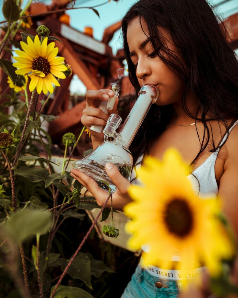 High-Quality THC Vape in the Netherlands: Legal, Affordable, and Fast Delivery