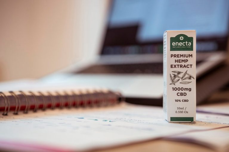 Rotterdam, the Netherlands’ second‑largest city, is quickly becoming a hub for cannabis enthusiasts