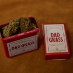 Cannabis in Cannes: A Comprehensive Guide img-3147.jpg