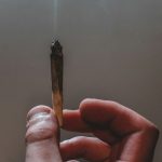 Online Cannabis Delivery in Greece: Your Complete Guide img-3155.jpg