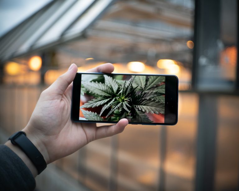 Looking to purchase high‑quality THC‑rich marijuana in Portugal?