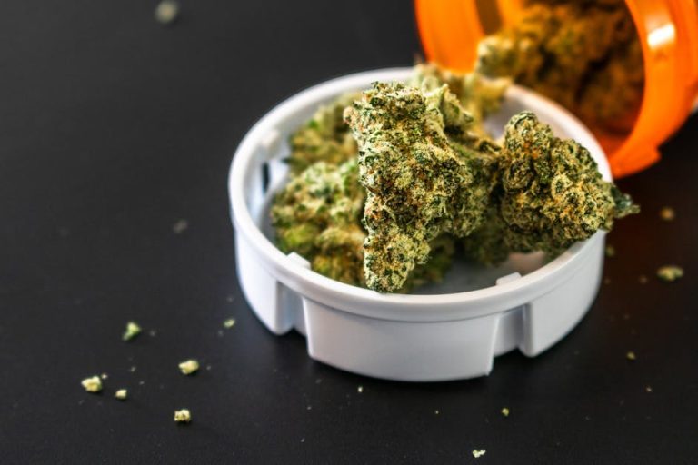 Welcome to the premier Jurmala cannabis shop – a trusted weed dispensary and marijuana retailer that brings the best of the cannabis market right to your doorstep in Latvia