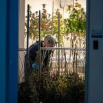 Antwerp: The Hub for High-Quality Hashish and Cannabis Products img-417.jpg
