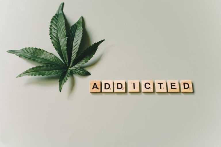 Palma de Mallorca Cannabis Shop