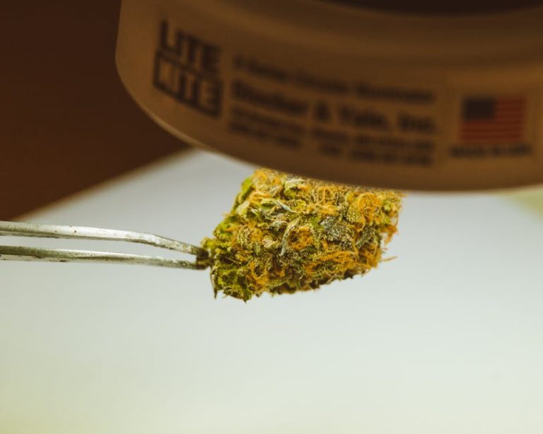 Salzburg Cannabis Delivery: Reliable, Safe, and Discreet