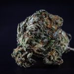 Augsburg Cannabis Shop img-59.jpg