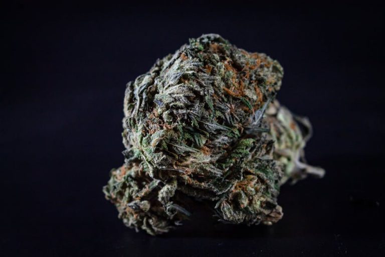Augsburg Cannabis Shop