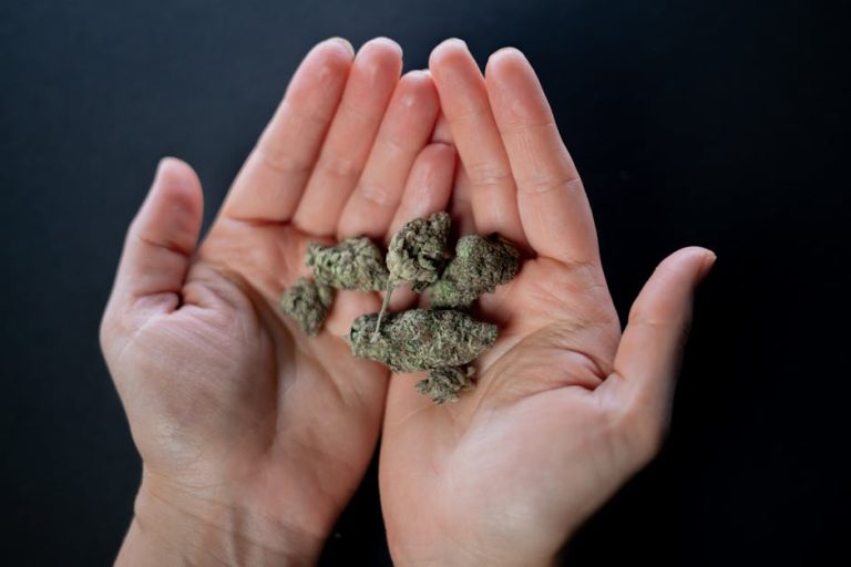Looking to purchase high‑quality THC cannabis in Plovdiv?
