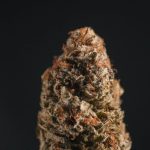 Welcome to the premier weed store Cannes – a one‑stop shop for cannabis lovers, travelers, and connoisseurs alike img-746.jpg