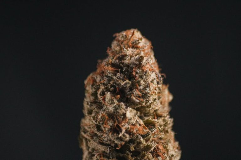 Welcome to the premier weed store Cannes – a one‑stop shop for cannabis lovers, travelers, and connoisseurs alike