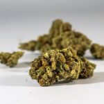 High‑Quality THC‑Rich Marijuana in Bulgaria: Online Cannabis Store and Legal Guide img-76.jpg