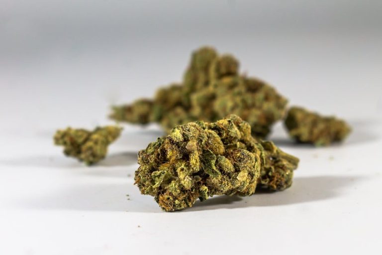 High‑Quality THC‑Rich Marijuana in Bulgaria: Online Cannabis Store and Legal Guide
