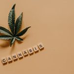 Cannabis Shop in Stockholm img-961.jpg