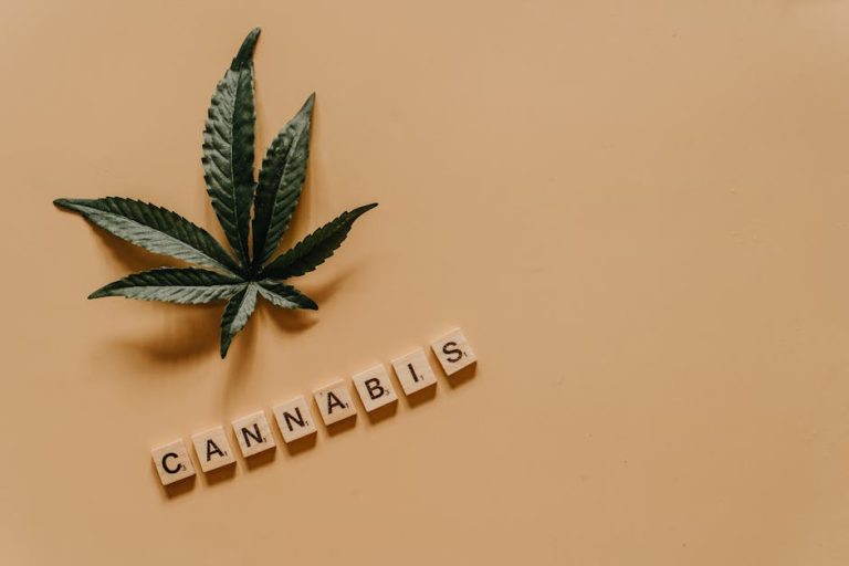 Cannabis Shop in Stockholm