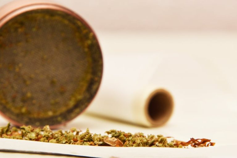 Premier Cannabis Shop in Brno
