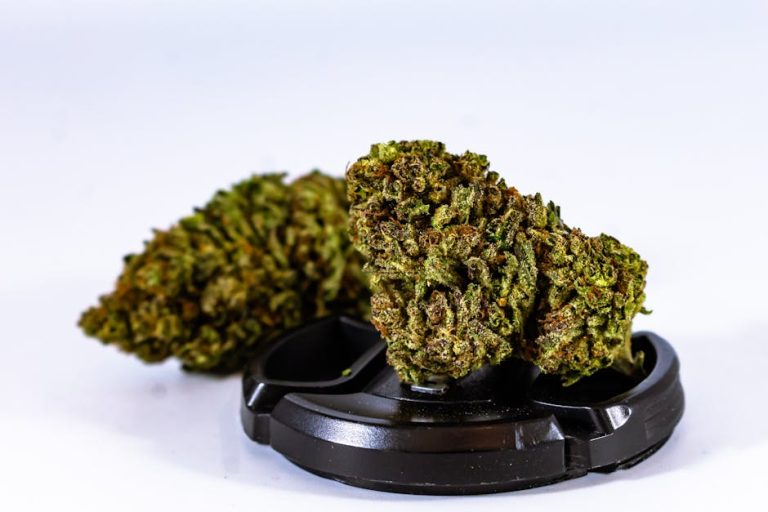 Navigating the Estonian Cannabis Market